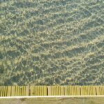 resized_16_api